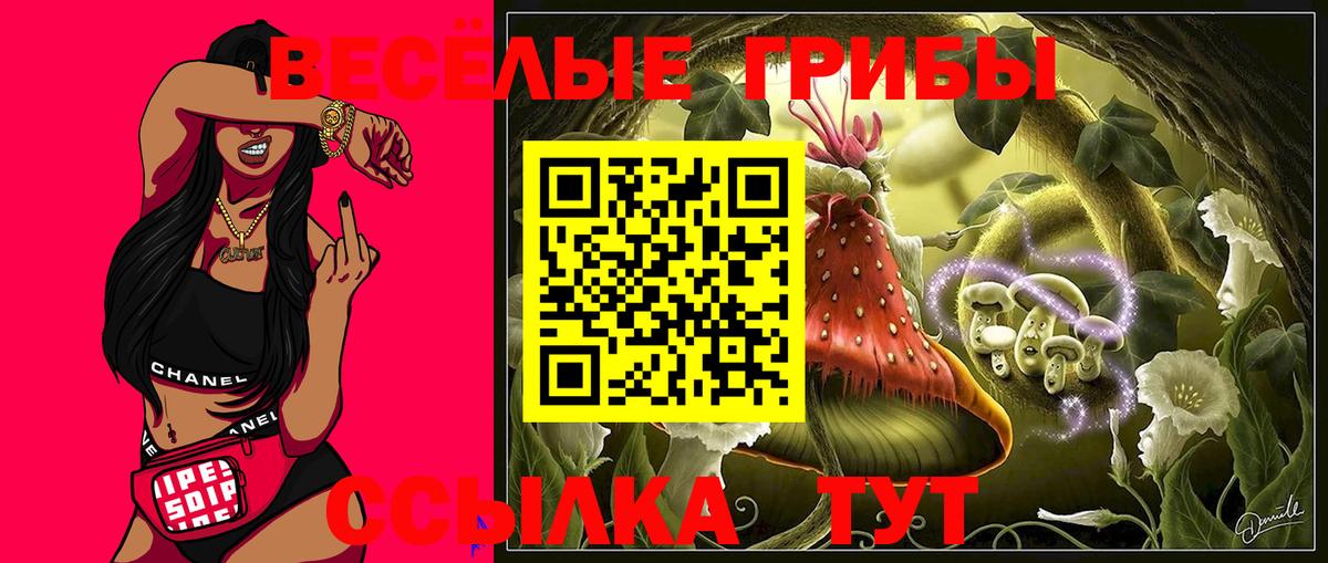 Галлюциногенные грибы Psilocybine cubensis  Вход с VPN  Каменка 