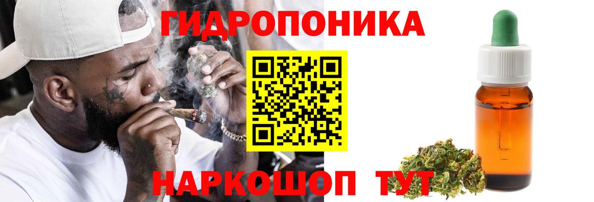 Канабис конопля Каменка